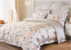 КПБ евро "RETROUYT" KLTS6-031 4062