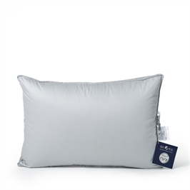 {{productViewItem.photos[photoViewList.activeNavIndex].Alt || productViewItem.photos[photoViewList.activeNavIndex].Description || 'Подушка BELPOL &quot;Saturn gray&quot; 50х70 гусиный пух'}}