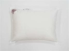 {{productViewItem.photos[photoViewList.activeNavIndex].Alt || productViewItem.photos[photoViewList.activeNavIndex].Description || 'Подушка GRASS 50х70 НДС 75211/1 LUXURY SILK мягкая'}}