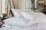 Подушка GRASS 50х70 НДС FD-1210/1 WHITE FAMILIE DOWN средняя FDN-1210/1 - фото 10878 Подушка GRASS 50х70 НДС FD-1210/1 WHITE FAMILIE DOWN средняя FDN-1210/1 - фото 10878