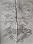 Полотенце Жаккард пестрый 50*70  (<Не заполнено>) 1923ЯК